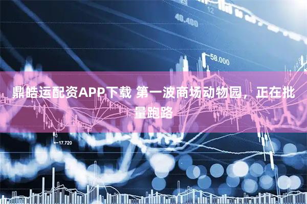鼎皓运配资APP下载 第一波商场动物园，正在批量跑路