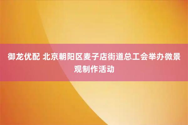御龙优配 北京朝阳区麦子店街道总工会举办微景观制作活动